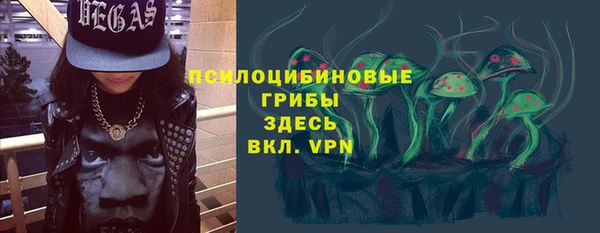 ПСИЛОЦИБИНОВЫЕ ГРИБЫ Богородицк